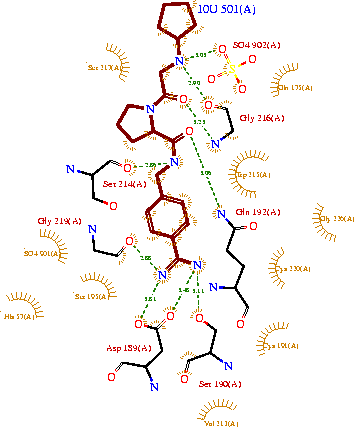 A two-dimensional representation of trypsin binding Ligand UB-THR 10