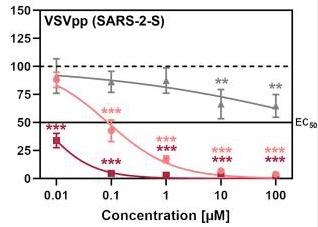 Entry efficiency of SARS-2-S in Calu3 cell line treated with Gabexate (grey), Nafamostat (red) and Camostat (pink). 