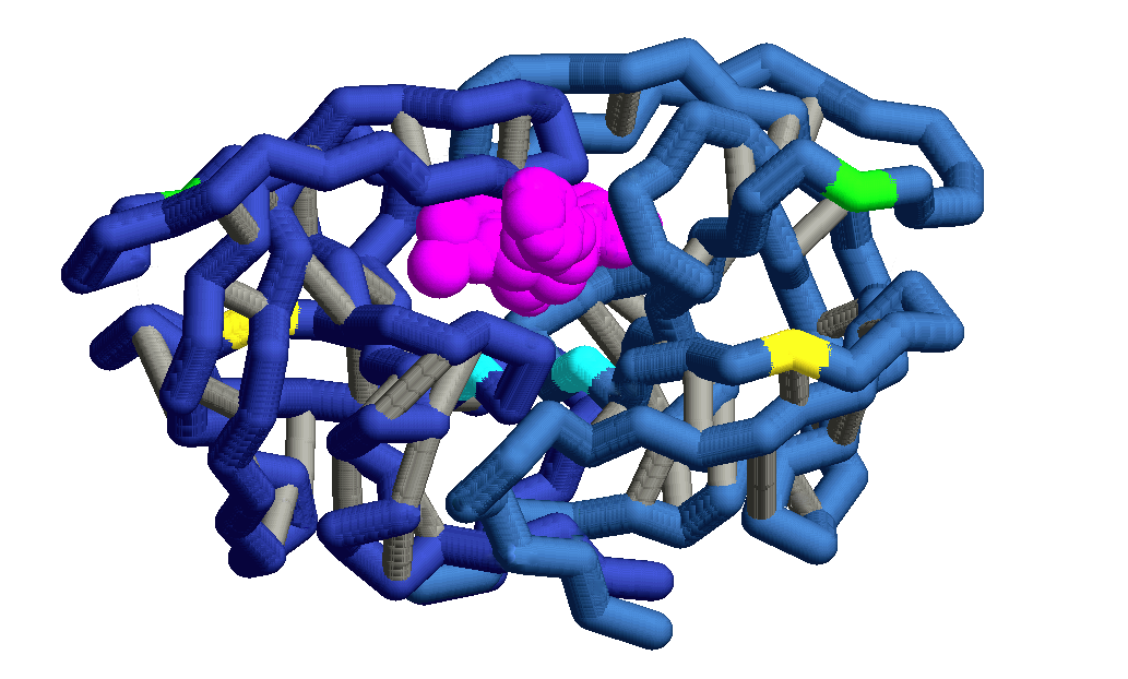 Image:HIV Protease 2.png
