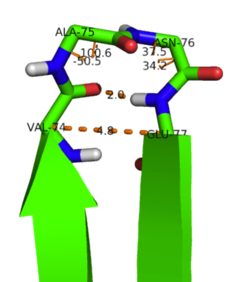 Type-II β-turn between β-strands 3 and 4.