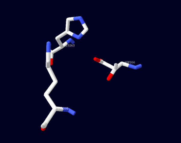Figure 2: A stick representation of  the amino acid residues (Lys205, His263,Asp200) involved in the catalysis reaction associated with Glucose-6-Phosphate Dehydrogenase (PDB ID: 1QKI): CPK notation was used to depict the catalytic dyad. Image was generated using SWISSPDBViewer