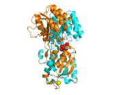 Figure 1 Superposition of open (orange, PDB ID 2fw0) and closed (cyan, PDB ID 2fvy) conformations of GGBP