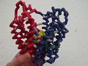 Physical Model of Lactose Permease based on 1pv7 from the MSOE Center for BioMolecular Modeling