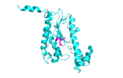 The fold of Thg1 (chain b) is highlighted here with the conserved carboxylates shown as sticks.3otb