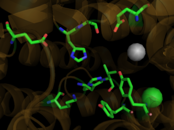 Binding Site of ACE with Zn Ion in Grey and Cl Ion in Green 1o86
